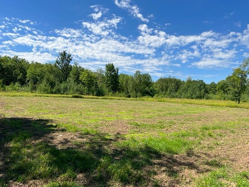 TBD 16th Ave, Rice Lake, WI 54868