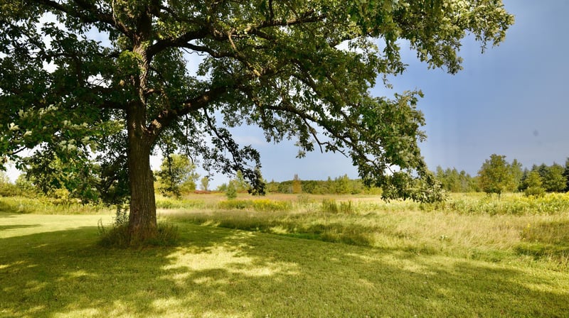 11711 120th St, Milaca, MN 56353