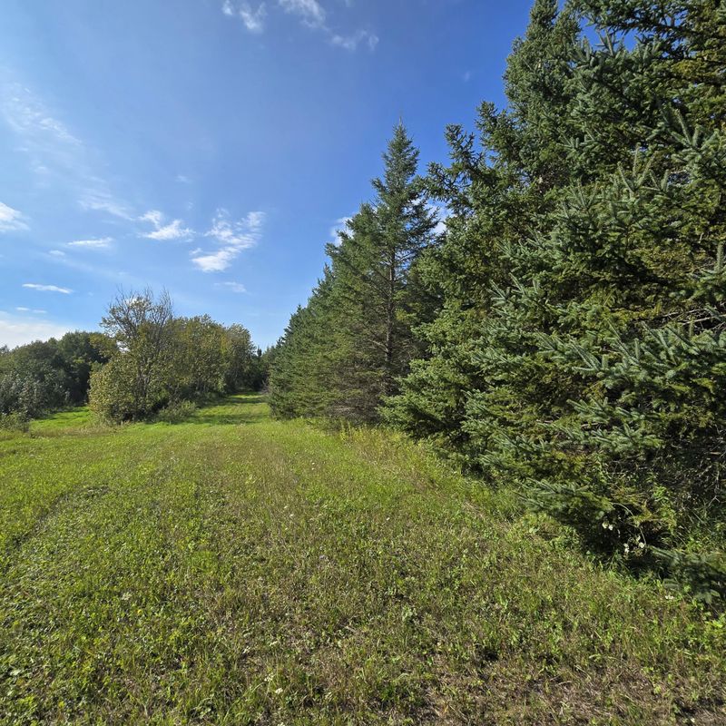 TBD Leonard Rd / Soo Line Rd, Leonard, MN 56652