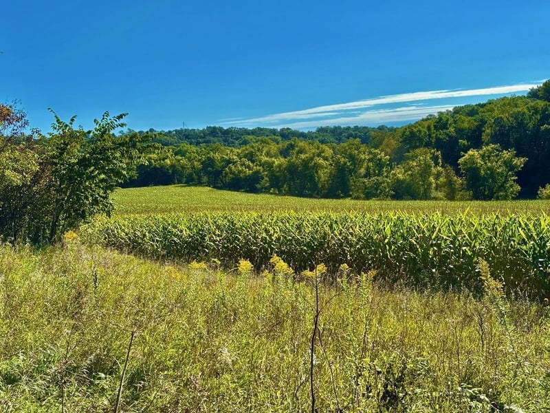 TBD Ponderosa Rd, Peterson, MN 55962