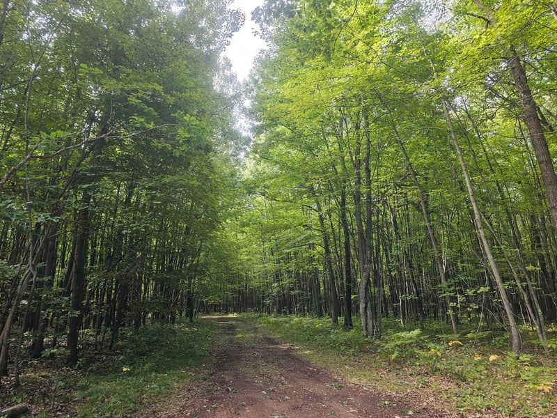 Lot 8 Ken Can Ln, Webster, WI 54893