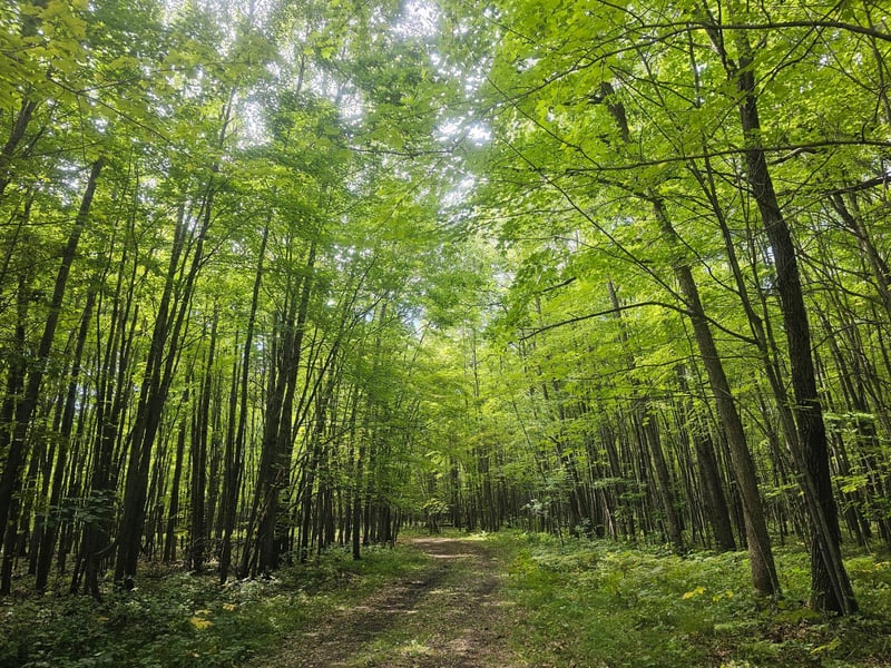 Lot 8 Ken Can Ln, Webster, WI 54893