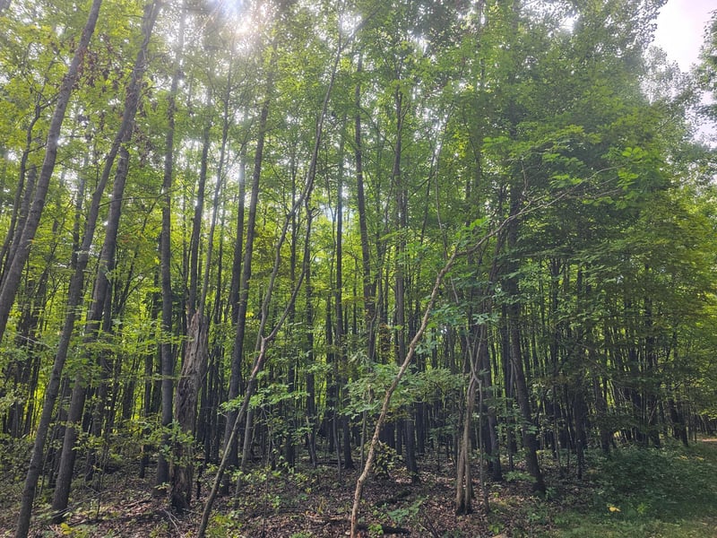 Lot 8 Ken Can Ln, Webster, WI 54893