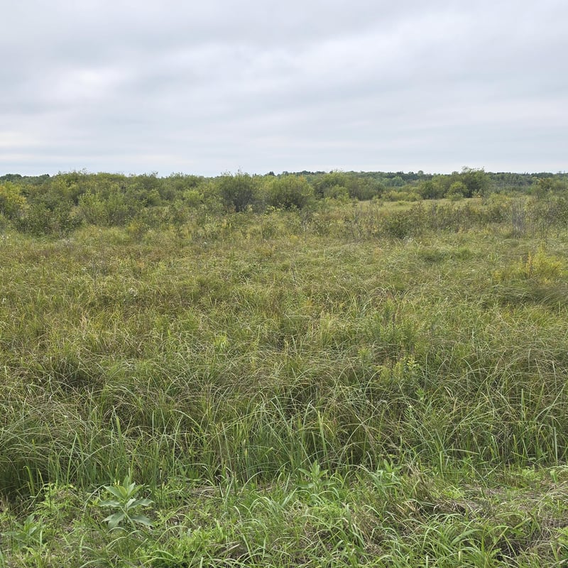TBD S Gull Lake Rd Ne, Tenstrike, MN 56683