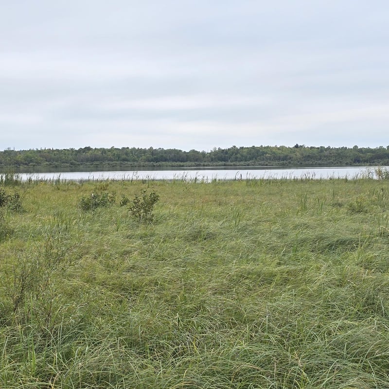 TBD S Gull Lake Rd Ne, Tenstrike, MN 56683
