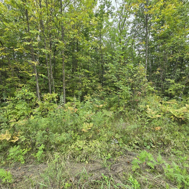 TBD S Gull Lake Rd Ne, Tenstrike, MN 56683