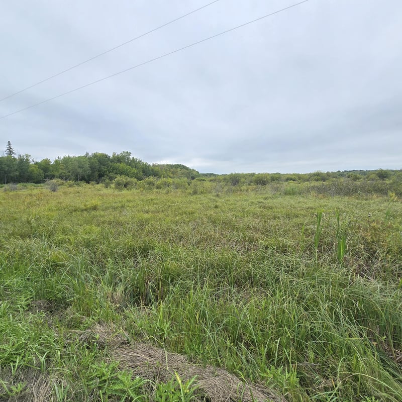 TBD S Gull Lake Rd Ne, Tenstrike, MN 56683
