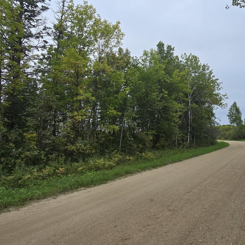 TBD S Gull Lake Rd Ne, Tenstrike, MN 56683