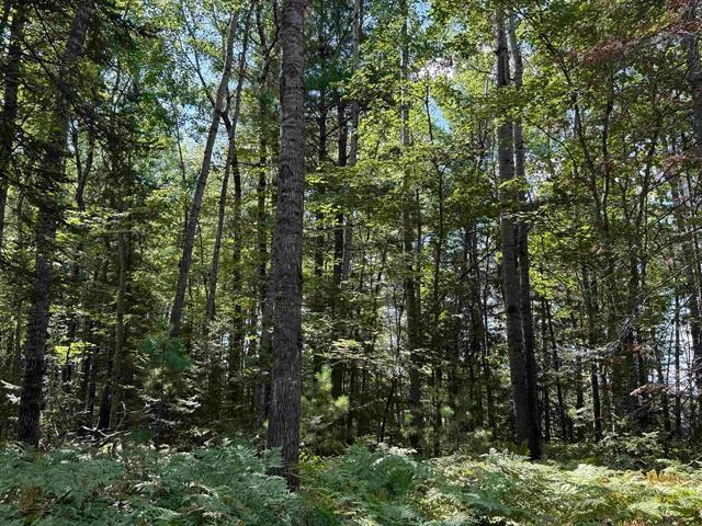 xxx W Gravel Pit Rd, Iron River, WI 54847