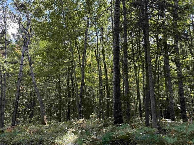 xxx W Gravel Pit Rd, Iron River, WI 54847