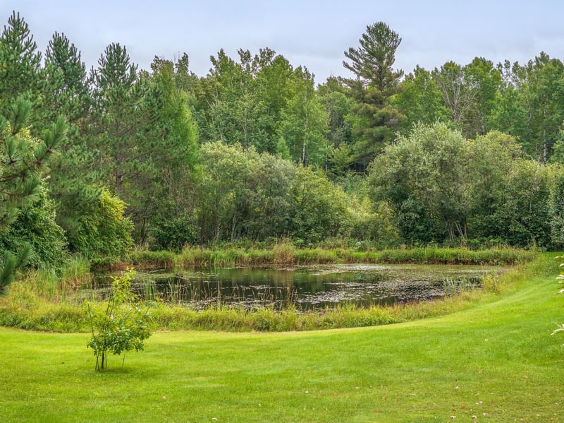 7528 Siebert Rd, Embarrass, MN 55732