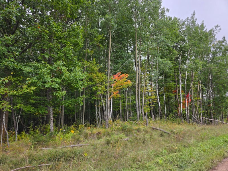 xxxx Tract C Pioneer Rd, Barnum, MN 55707