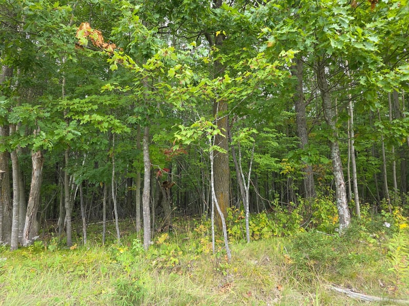 xxxx Tract C Pioneer Rd, Barnum, MN 55707