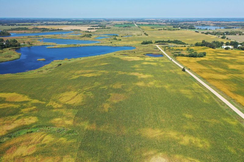 TBDx 190th St, Battle Lake, MN 56515