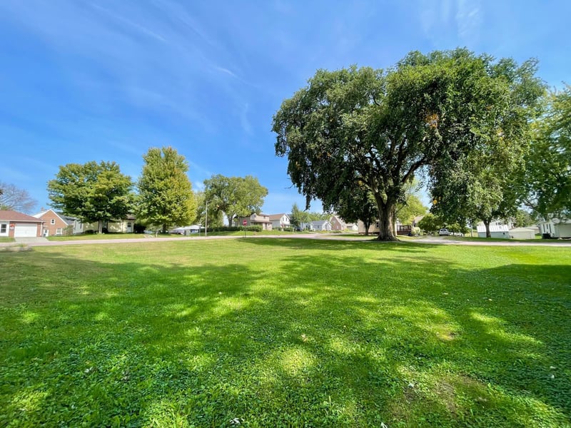 124 N Park Ave, Springfield, MN 56087