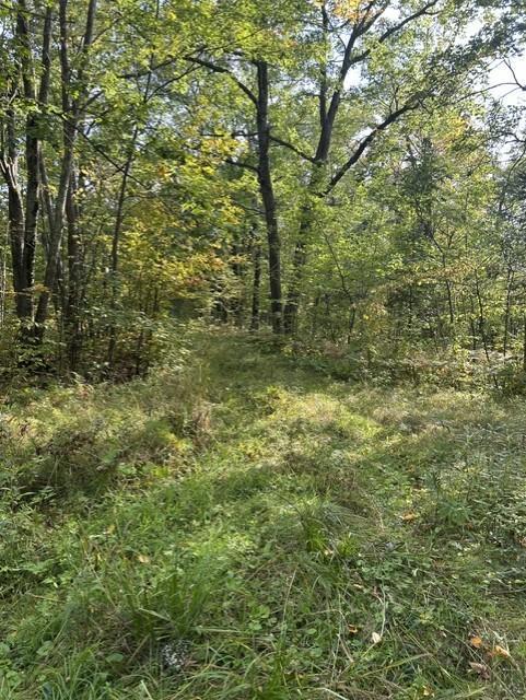 34385 Sportsmans Ln, Brook Park, MN 55007
