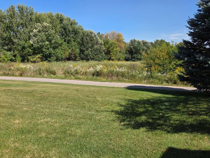 1603 Washington St, Northfield, MN 55057