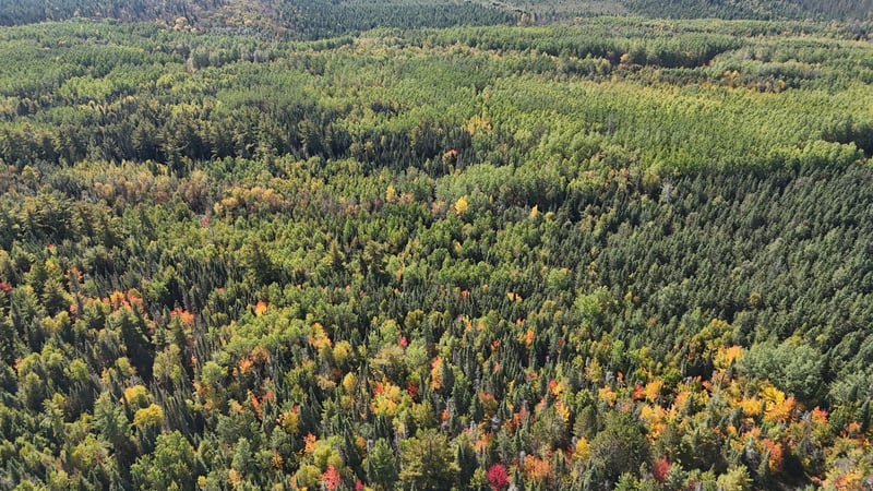TBD 25 Hwy 53, Kabetogama, MN 56669