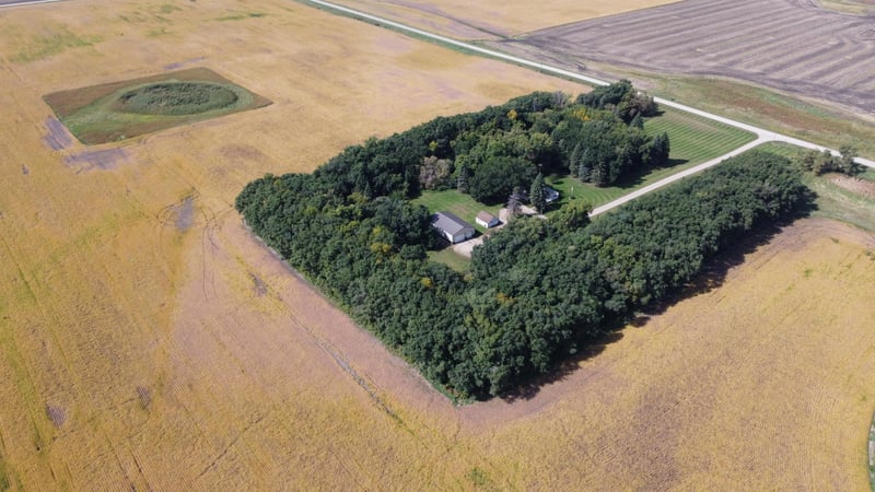 28599 310th St, Wendell, MN 56590