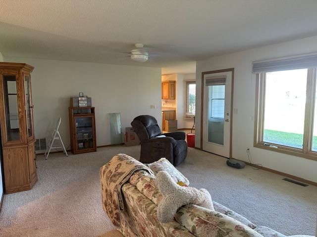 3021 Mountain Ash Ct NW, Bemidji, MN 56601