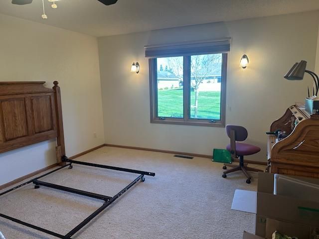 3021 Mountain Ash Ct NW, Bemidji, MN 56601