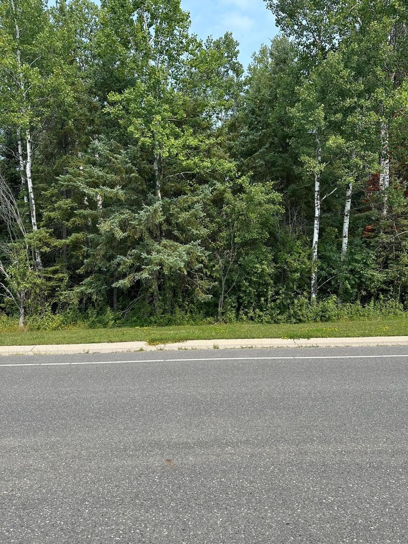 TBD 7 Acres County Road 107, International Falls, MN 56649