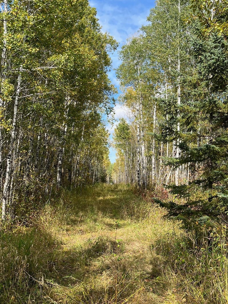 TBD W County Road 3, International Falls, MN 56669