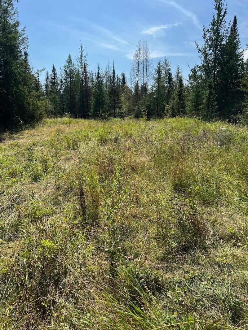 TBD W County Road 3, International Falls, MN 56669