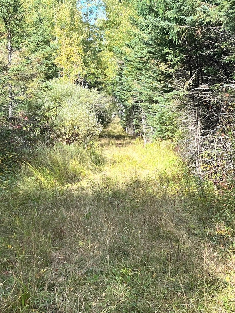 TBD W County Road 3, International Falls, MN 56669