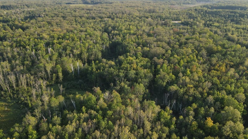 TBD Kestrel Ave, Mcgrath, MN 56350