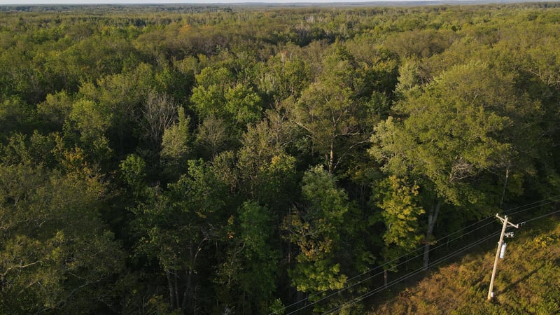 TBD Kestrel Ave, Mcgrath, MN 56350
