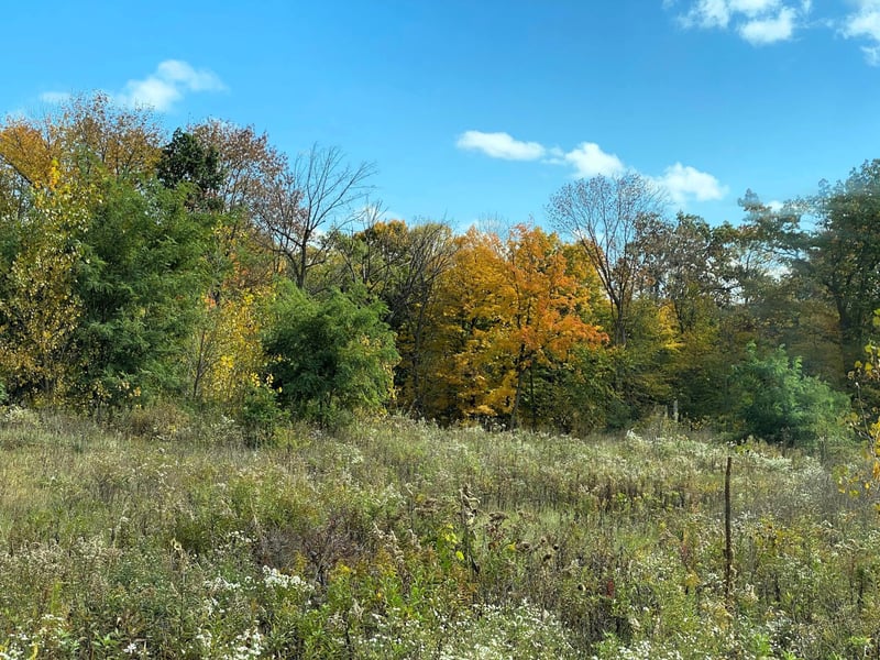 1112 Timber Pa, Menomonie, WI 54751