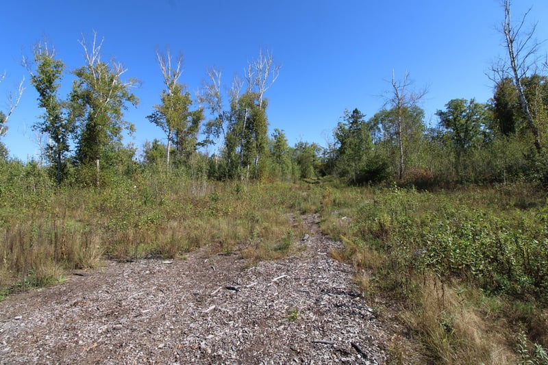 TBD County Road 136, Fifty Lakes, MN 56448