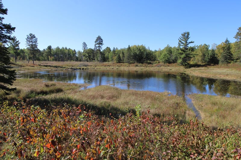 TBD County Road 136, Fifty Lakes, MN 56448