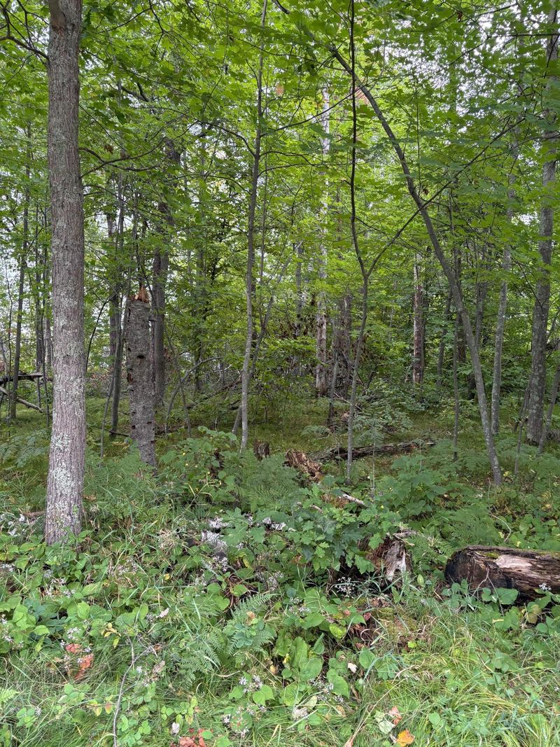 TBD Lots 111 - 112 Terminal Rd, Breezy Point, MN 56472