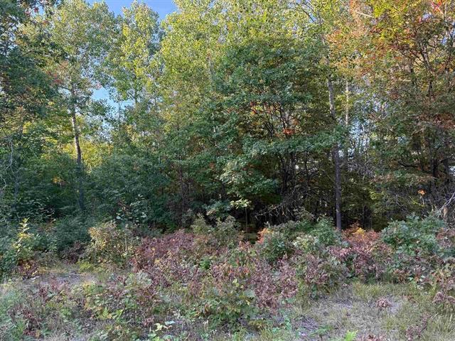 000 Us Hwy 2, Iron River, WI 54847