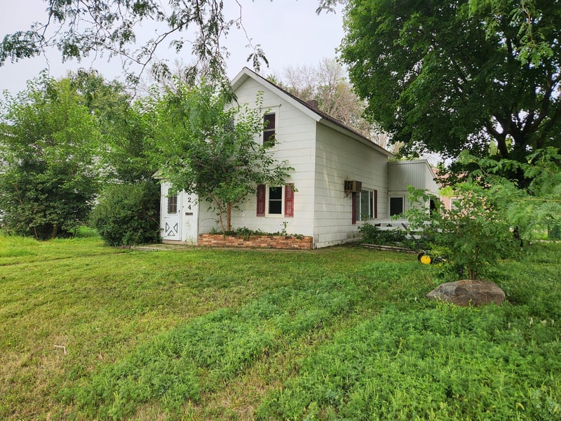 324 E Sanborn St, Springfield, MN 56087