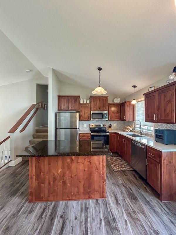 9169 Golden Pond Ln, Monticello, MN 55362