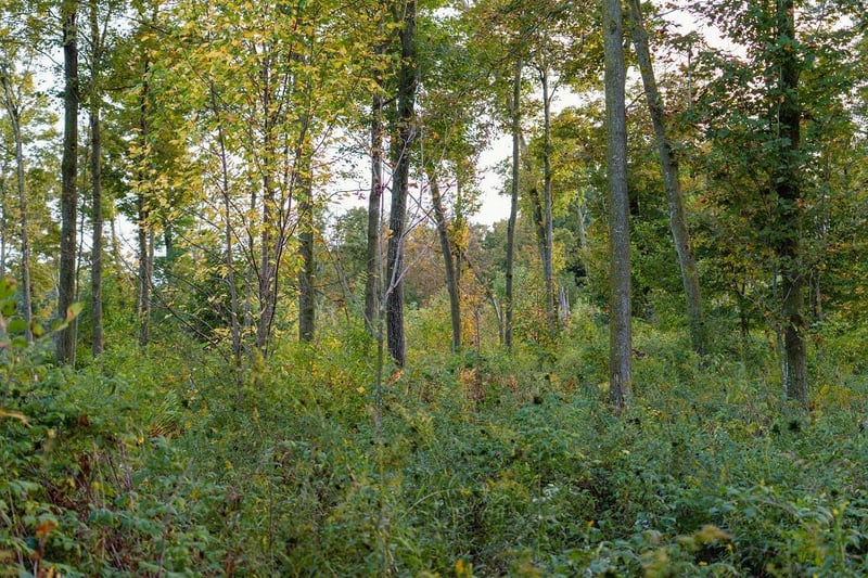 0 Semple Rd, Arkansaw, WI 54721