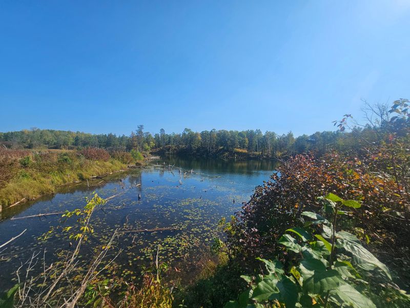 TBD Miller Lake Rd, Crosby, MN 56441