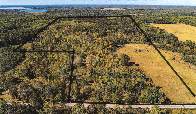 39687 Swanberg Rd, Pine River, MN 56474