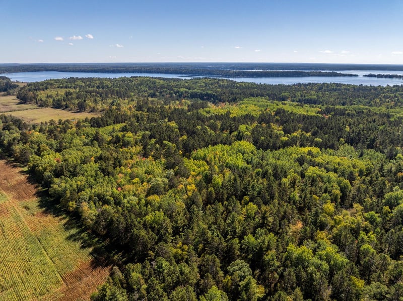 39687 Swanberg Rd, Pine River, MN 56474