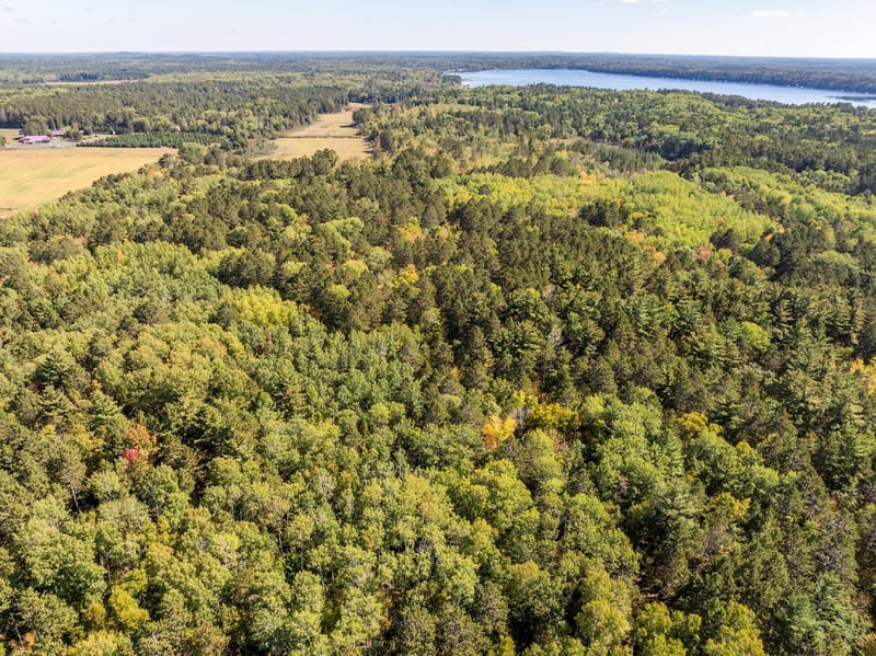 39687 Swanberg Rd, Pine River, MN 56474