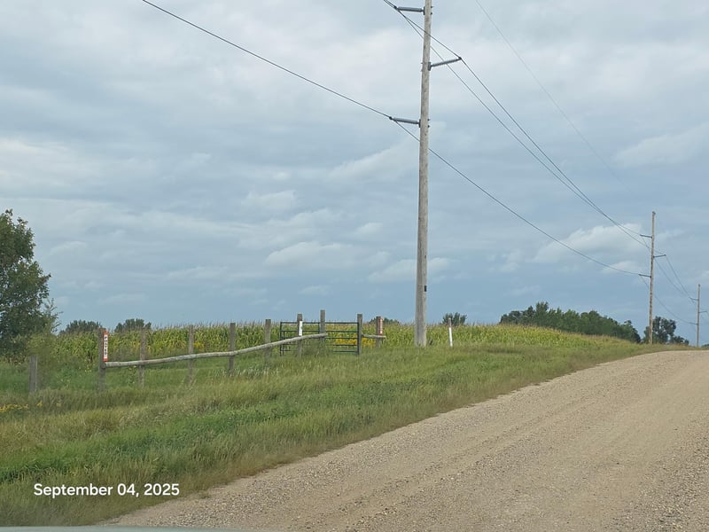 16499 740th Ave, Dassel, MN 55325