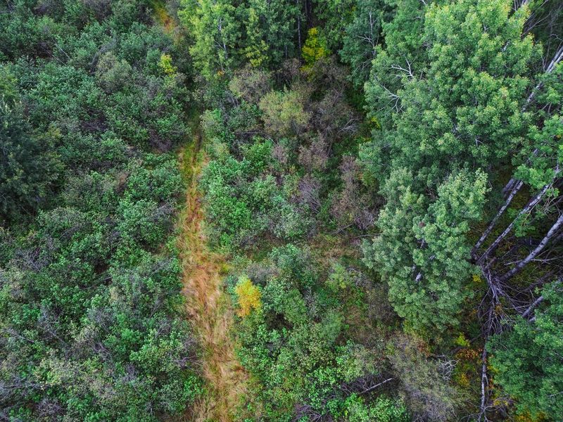 25464 560th St, Palisade, MN 56469