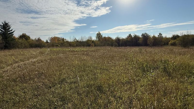 TBD N 80 Town Rd 6, Northome, MN 56661