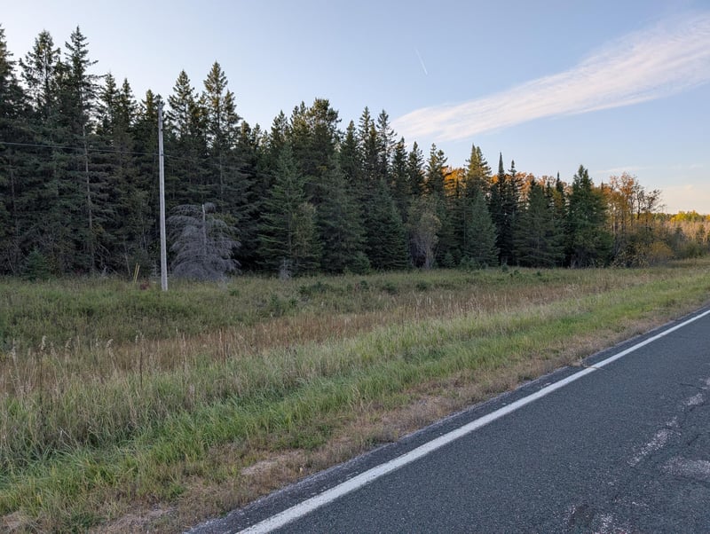 TBD County Road 3, Ray, MN 56669