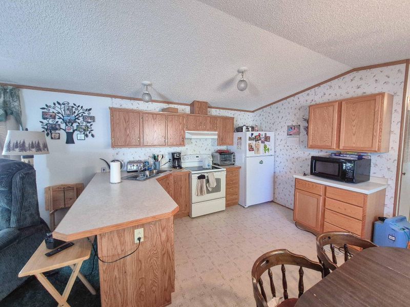 17373 Beaver Dr, Park Rapids, MN 56470
