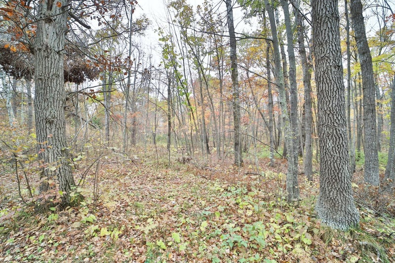 1022 Rock Elm Trl NW, Pine River, MN 56474