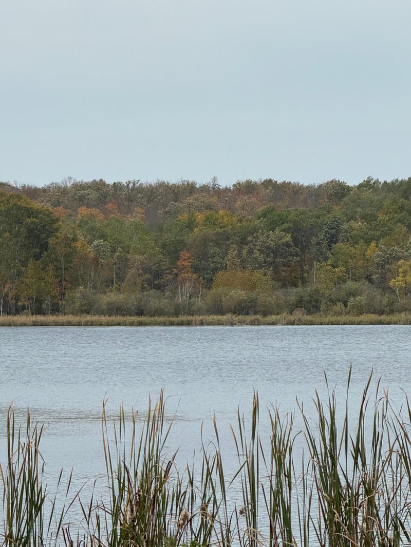 TBD Minerva Lake Rd, Shevlin, MN 56676